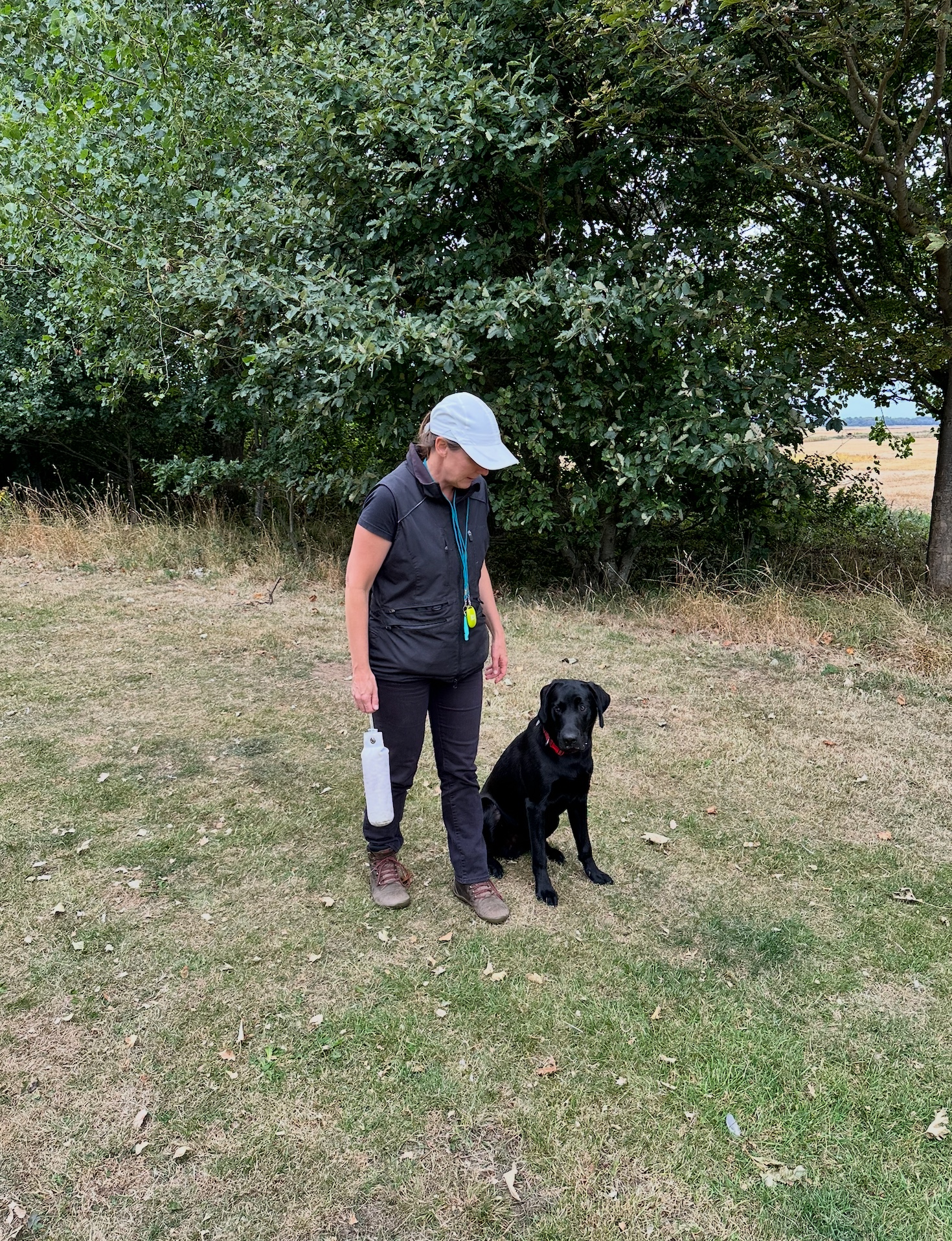 Handler working with a black dog holding a training dummy